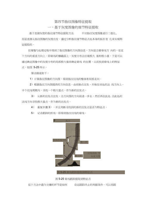 第四节指纹图像特征提取