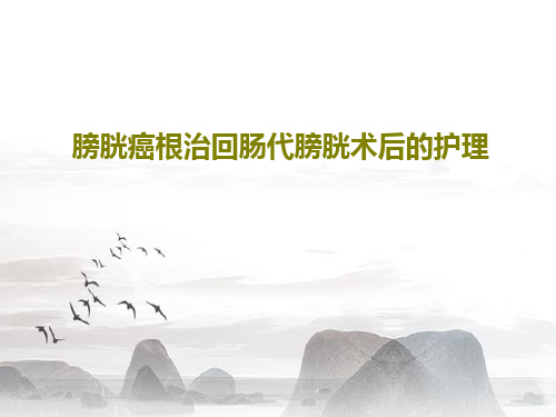 膀胱癌根治回肠代膀胱术后的护理共26页文档