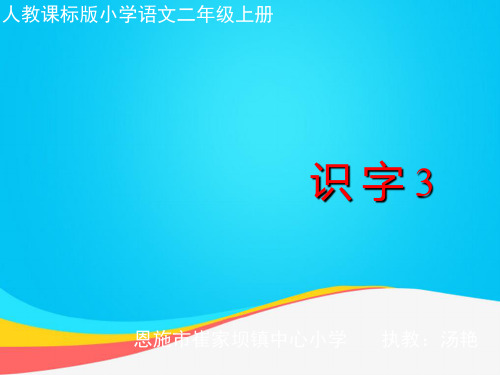 (推荐)人教版小学语文二年级上册识字2PPT资料