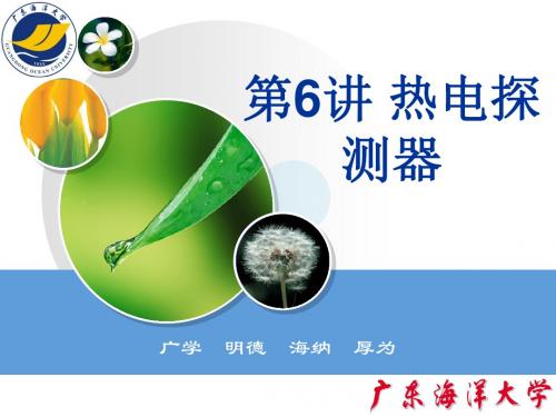 热电探测器(新)汇总.