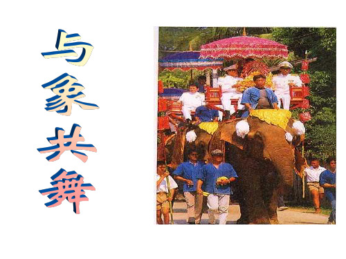 人教版五年级语文下册_27《与象共舞》课件