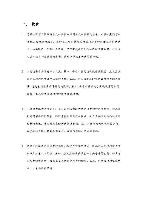 狗狗饮食应该注意的问题