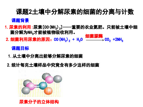 生物选修Ⅰ人教新课标2-2土壤中分解尿素的细菌的分离与计数课件(16张)