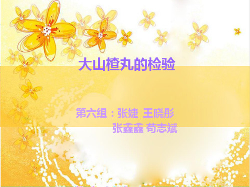 大山楂丸ppt