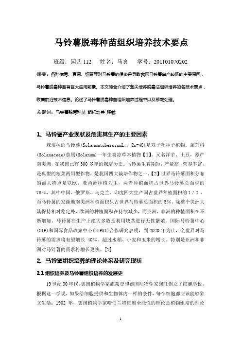 马铃薯组织培养技术要点