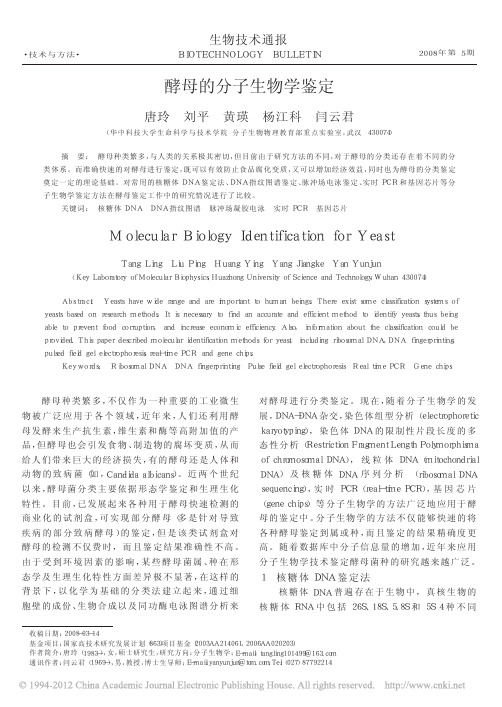 酵母的分子生物学鉴定