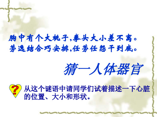 冀人版六年级科学下册《奇妙的人体  7 循环与运输》课件_35