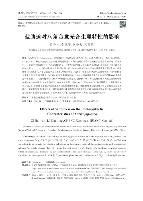 盐胁迫对八角金盘光合生理特性的影响