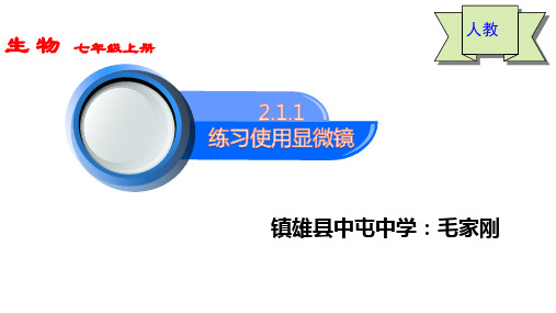 2.1.1  练习使用显微镜 人教版 新课标  七年级上册  课件  共 28页