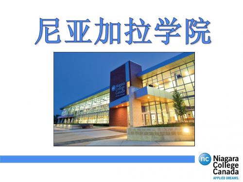 尼亚加拉学院