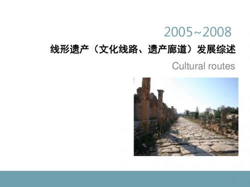 文化线路理论2005-2008
