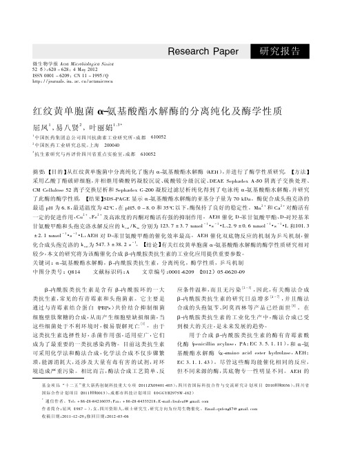 α-氨基酸酯水解酶的分离纯化及酶学性质