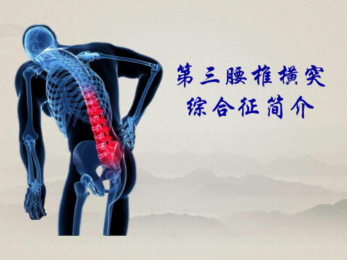 第三腰椎横突综合征 简介