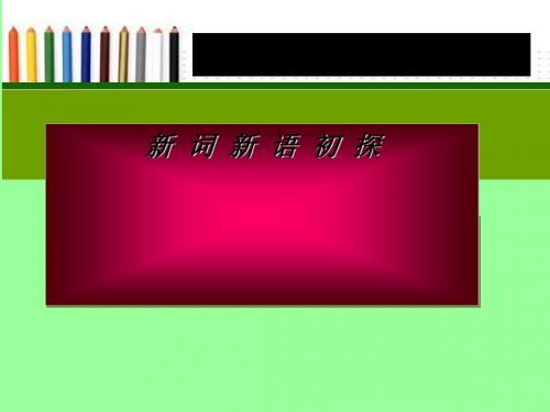 新词新语与流行文化PPT16