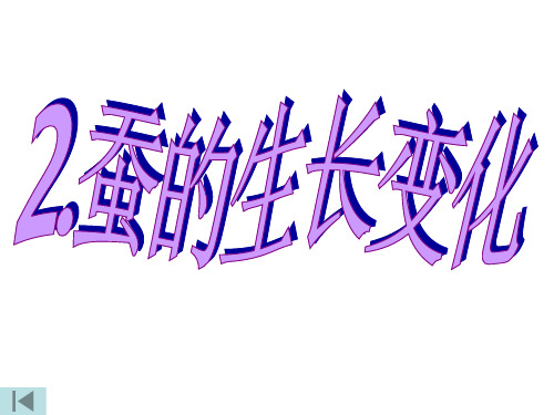蝉的生长变化详解