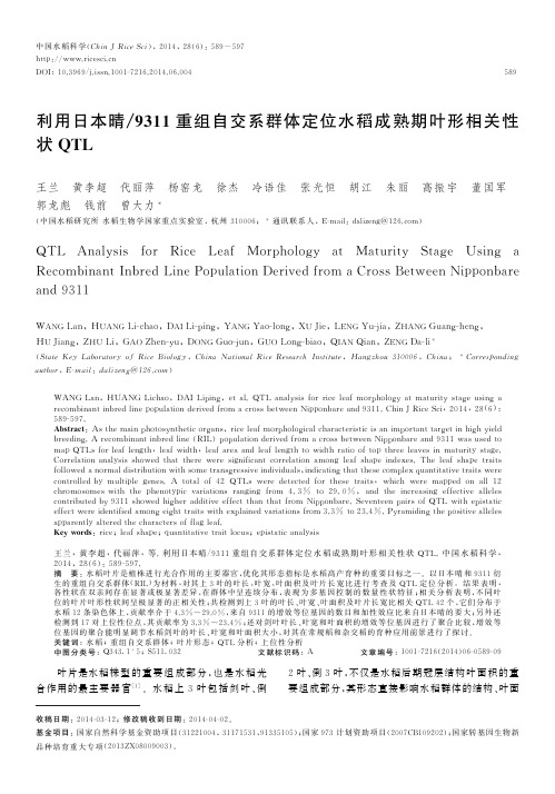利用日本晴9311重组自交系群体定位水稻成熟期叶形相关性状QTL