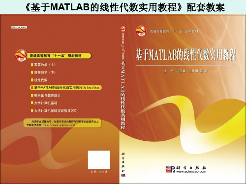 《基于MATLAB的线性代数实用教程》第十二章：综合实例(2)