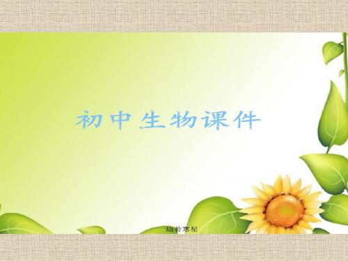 人教版生物八上《细菌》说课课件新人教版 (1)