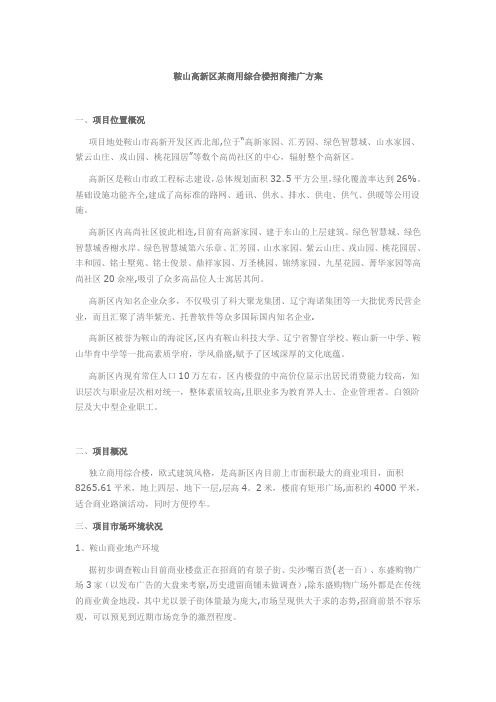 鞍山高新区某商用综合楼招商推广方案