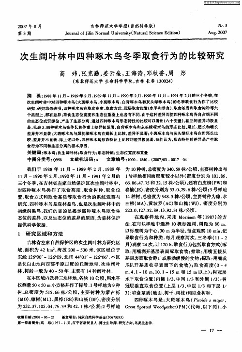 次生阔叶林中四种啄木鸟冬季取食行为的比较研究