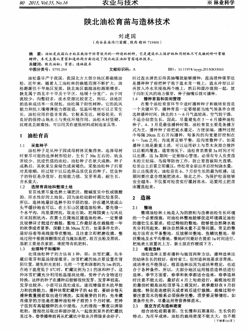陕北油松育苗与造林技术