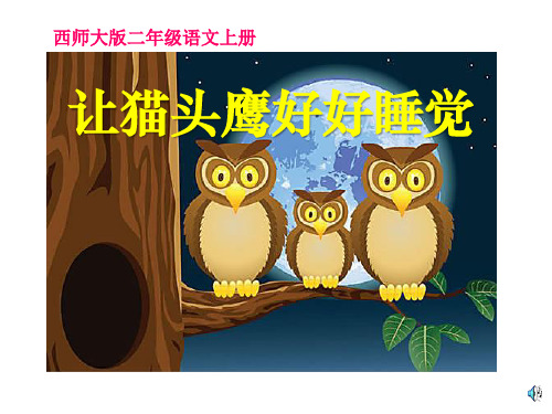 《让猫头鹰好好睡觉》PPT课件(3篇)