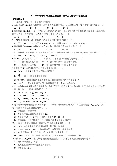 2021年中考化学《物质组成的表示—化学式与化合价》专题集训(含解析)