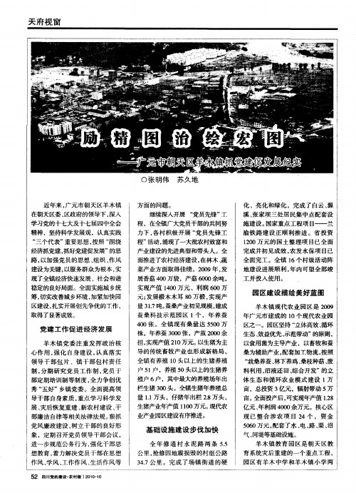 励精图治绘宏图——广元市朝天区羊木镇抓党建促发展纪实