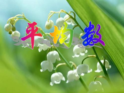 七年级数学平均数(新编2019教材)
