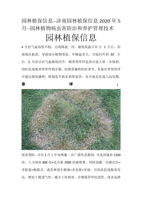 济南园林植保信息2020年第五期园林植物病虫害防治