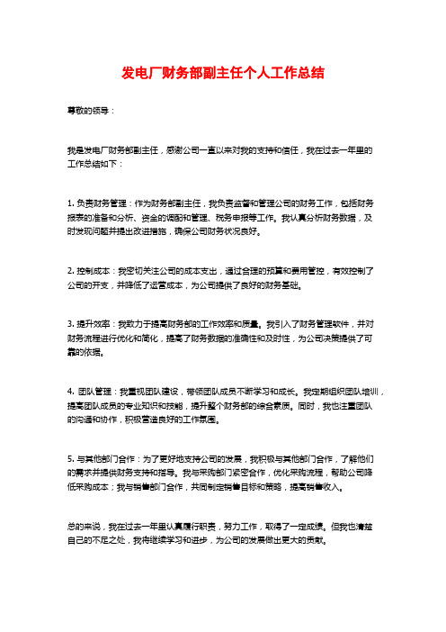 发电厂财务部副主任个人工作总结