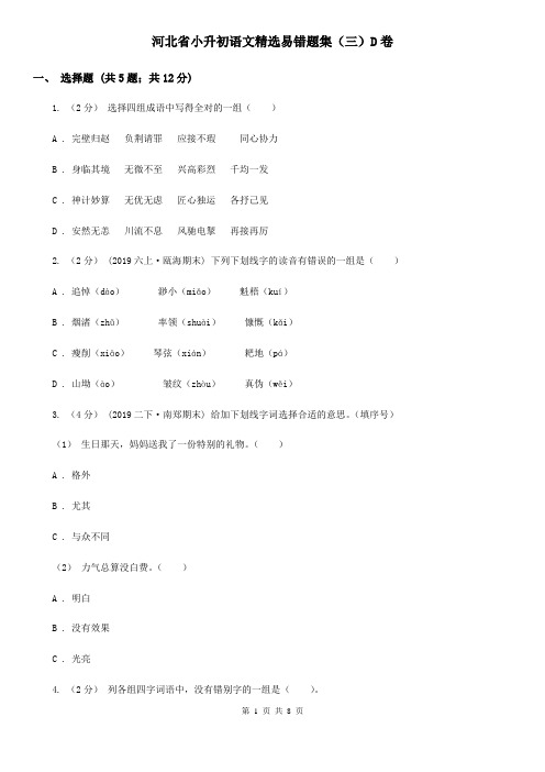 河北省小升初语文精选易错题集(三)D卷