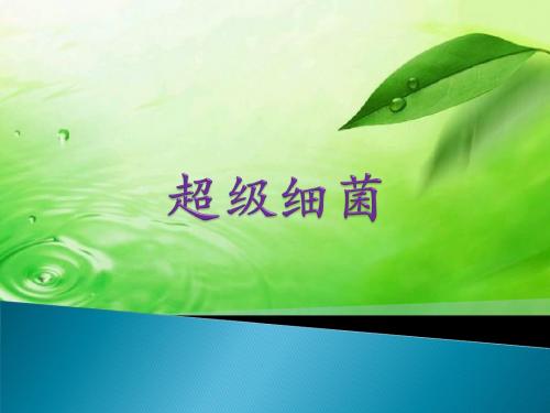 超级细菌