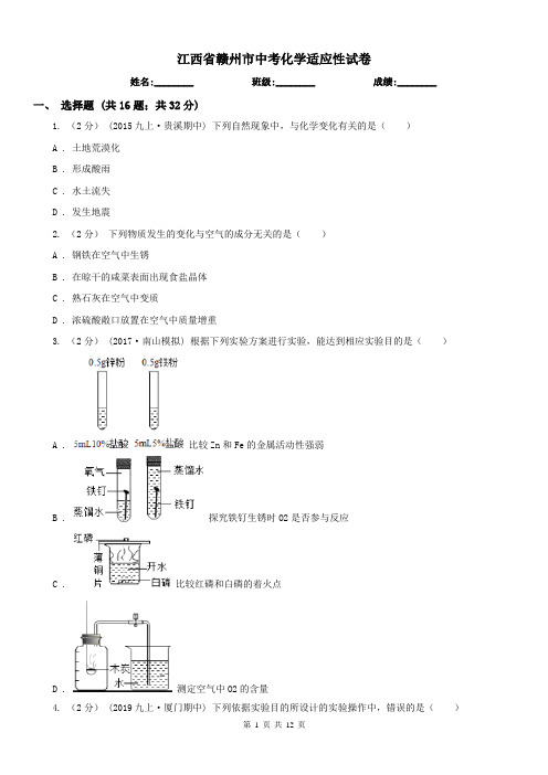 江西省赣州市中考化学适应性试卷