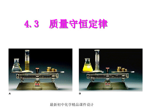 最新粤教版初中化学九年级上册《4.3 质量守恒定律》PPT课件 (7)