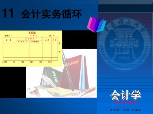 ch11会计实务循环-148页文档