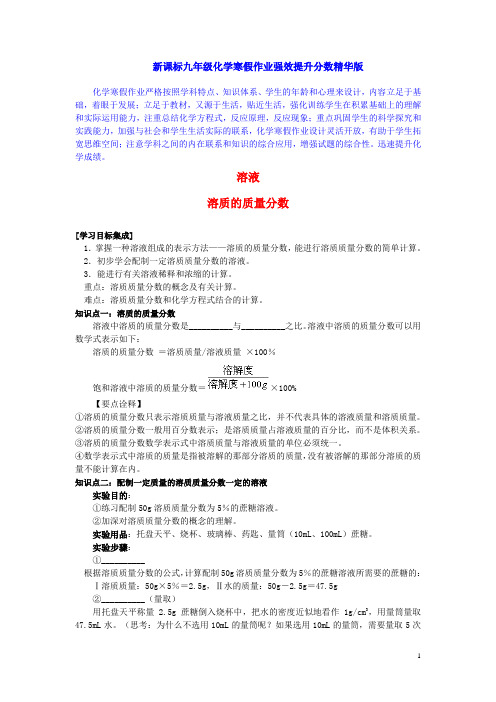 新课标九年级化学寒假作业强效提升分数精华版