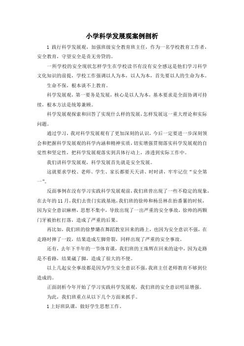 最新-小学科学发展观案例剖析 精品
