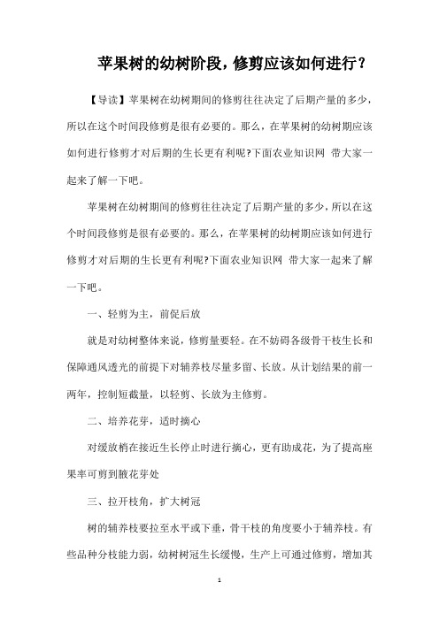 苹果树的幼树阶段,修剪应该如何进行？