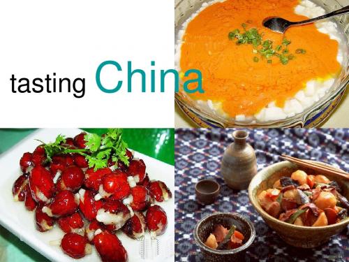 Tasting China  中国的美食