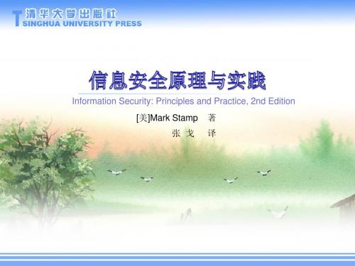 信息安全原理与实践-第二版12 软件中的安全