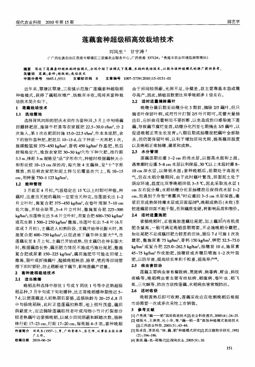 莲藕套种超级稻高效栽培技术