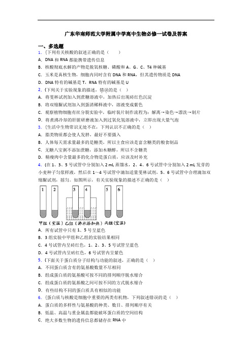 广东华南师范大学附属中学高中生物必修一试卷及答案