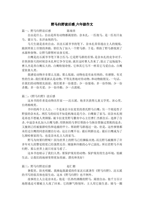 野马归野读后感_六年级作文