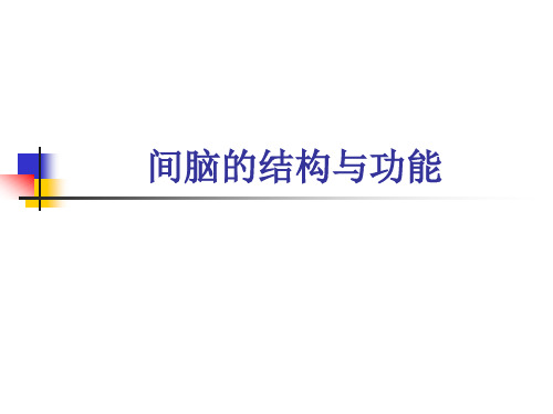 间脑结构及功能