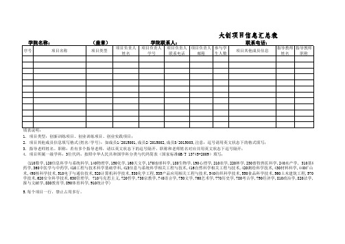 大创项目信息汇总表