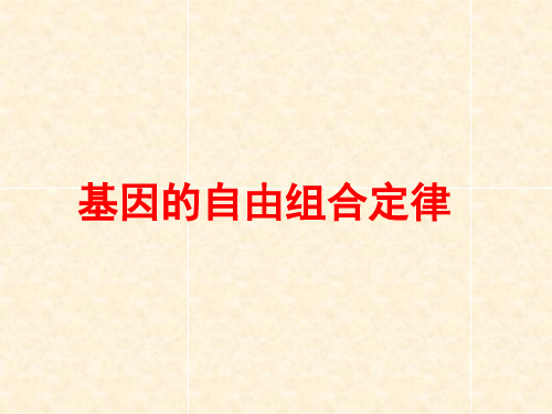 高中生物一轮复习课件-自由组合定律