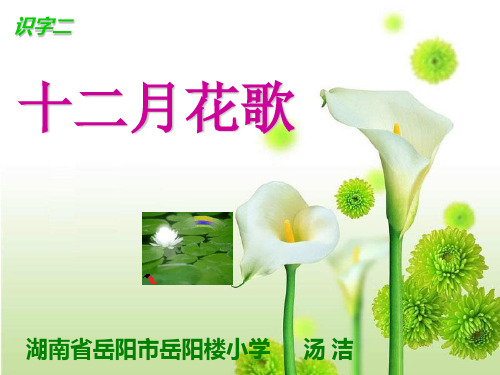 十二月花歌语文课件PPT