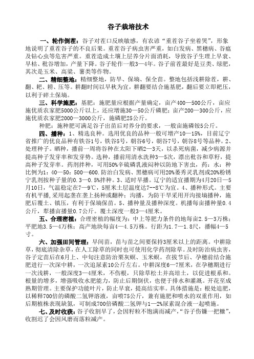 谷子栽培技术