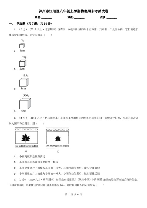 泸州市江阳区八年级上学期物理期末考试试卷